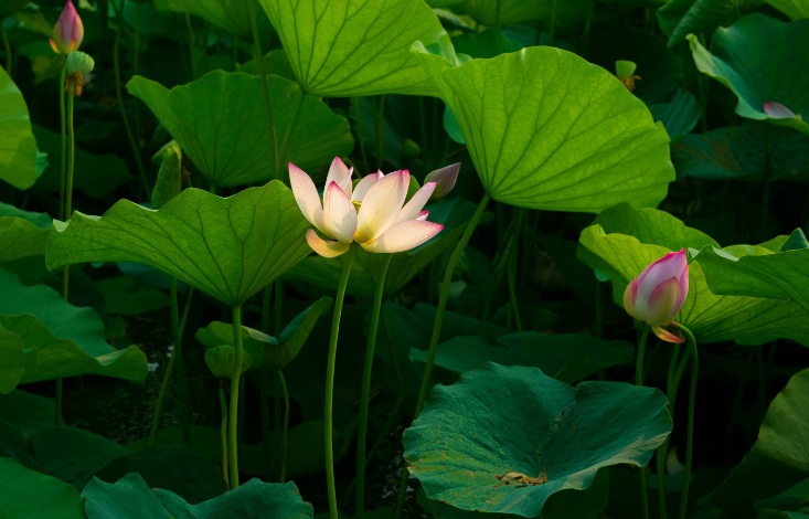 1686816818117597.png 微信圖片_20230615161302.png