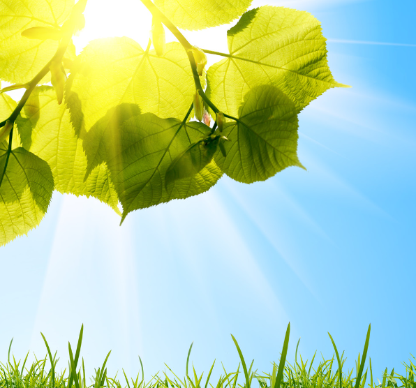 1686816831107645.png 微信圖片_20230615161321.png